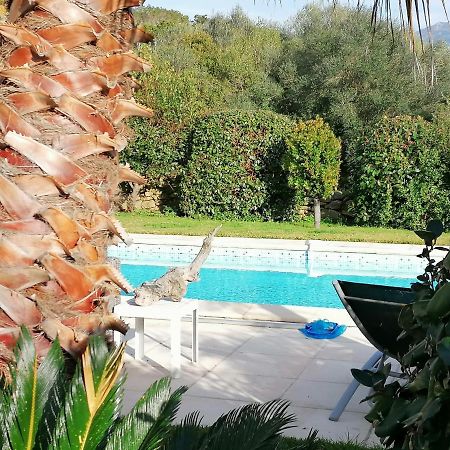 Studio 5Min Plage Agosta Albitreccia Εξωτερικό φωτογραφία