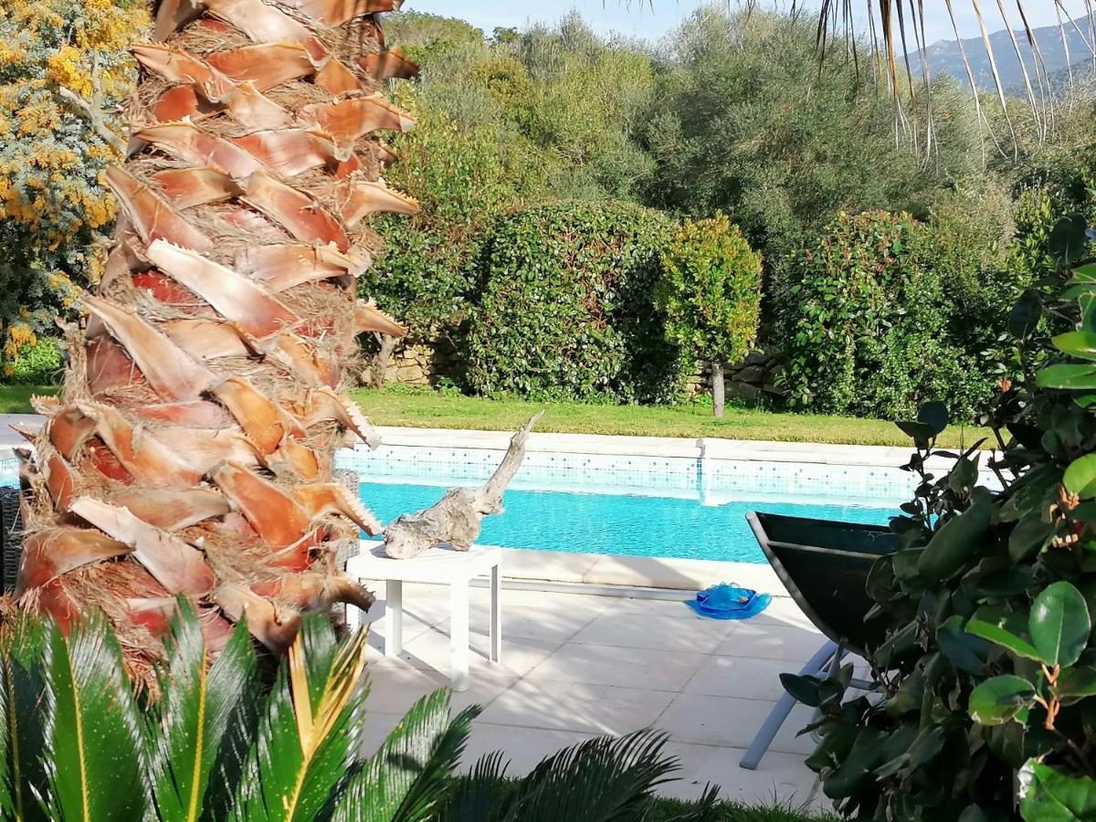 Studio 5Min Plage Agosta Albitreccia Εξωτερικό φωτογραφία