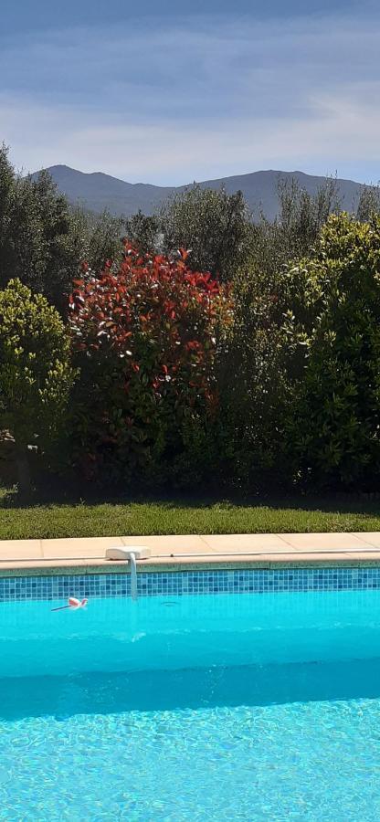 Studio 5Min Plage Agosta Albitreccia Εξωτερικό φωτογραφία